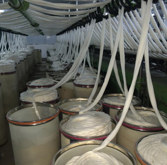 Filo di cotone puro pettinato tinto, CVC filato del cono del cotone per tricottare i guanti